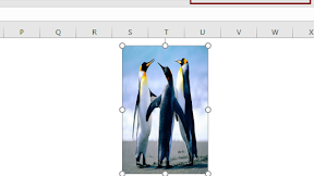 Mengatur Ukuran Gambar Ke 4 x 6 cm ( Pas Fhoto ) Dalam Excel